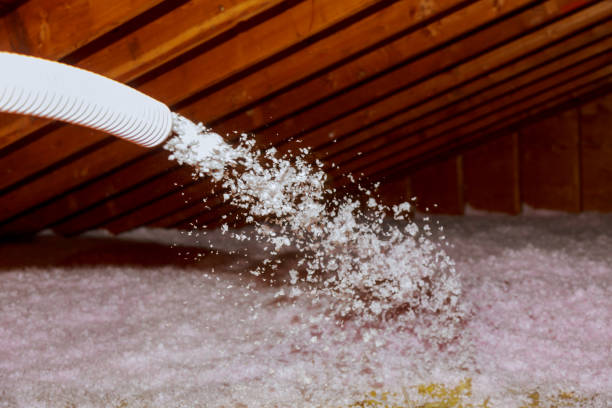 Best Cellulose Insulation in Pendleton, IN