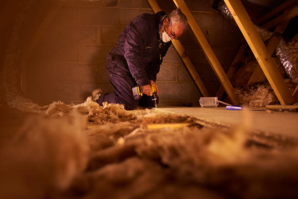 Best Insulation Maintenance and Repair in Pendleton, IN